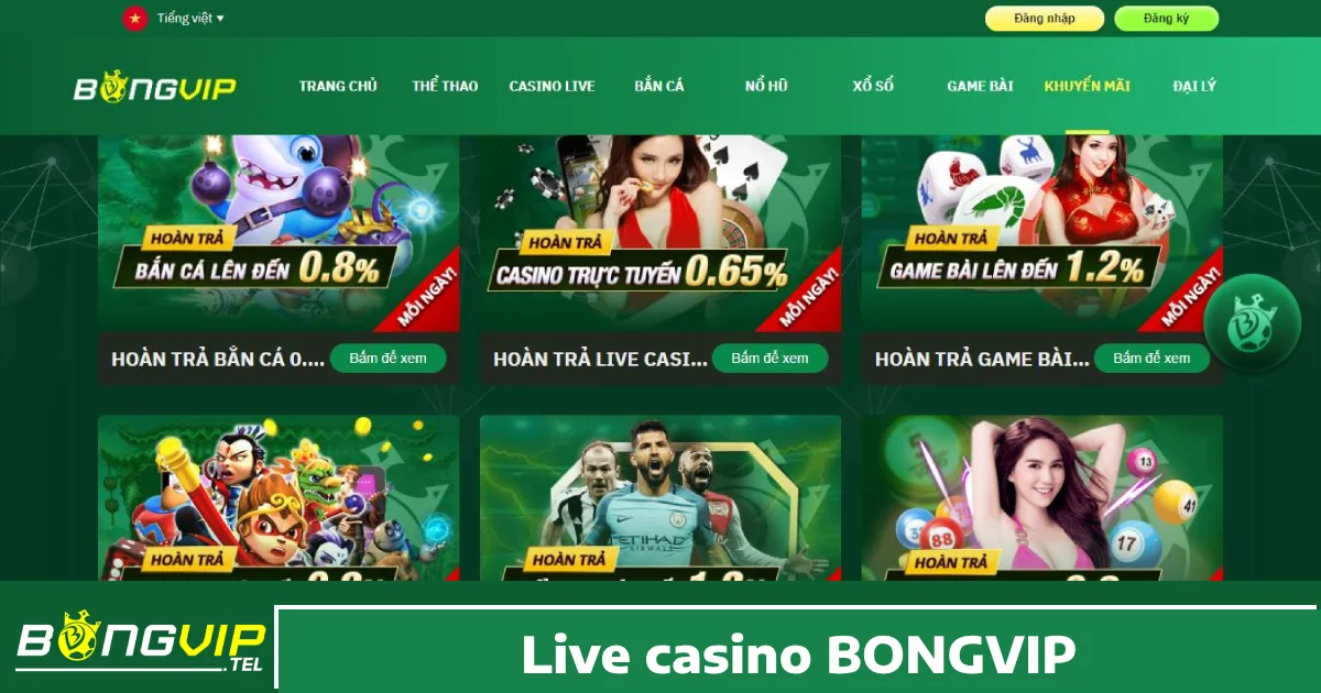 LIVE CASINO 1 Tại sao nên chơi Live Casino Bongvip?