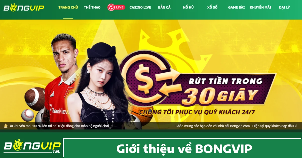 BONGVIP 23 Bongvip là một trong những nền tảng cá độ hàng đầu hiện nay