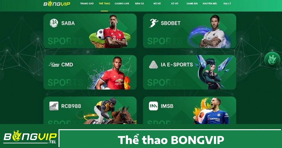 BONGVIP 25 Cược thể thao là một trong những sản phẩm chủ lực và được Bong Vip đầu tư kỹ lưỡng