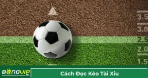 Nguyên tắc chung khi đọc kèo Tài Xỉu