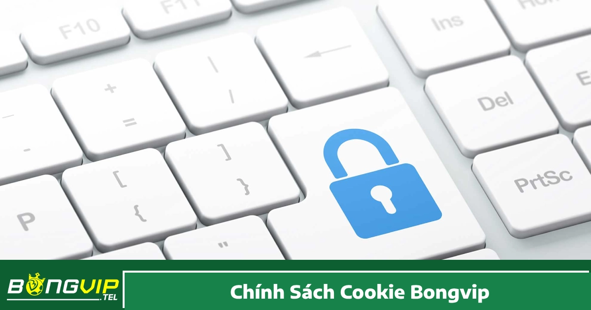 Chính Sách Cookie Bongvip – Cách Hệ Thống Quản Lý Cookie 1 Chính Sách Cookie Bongvip Là Gì & Bongvip Sử Dụng Cookie Như Thế Nào?