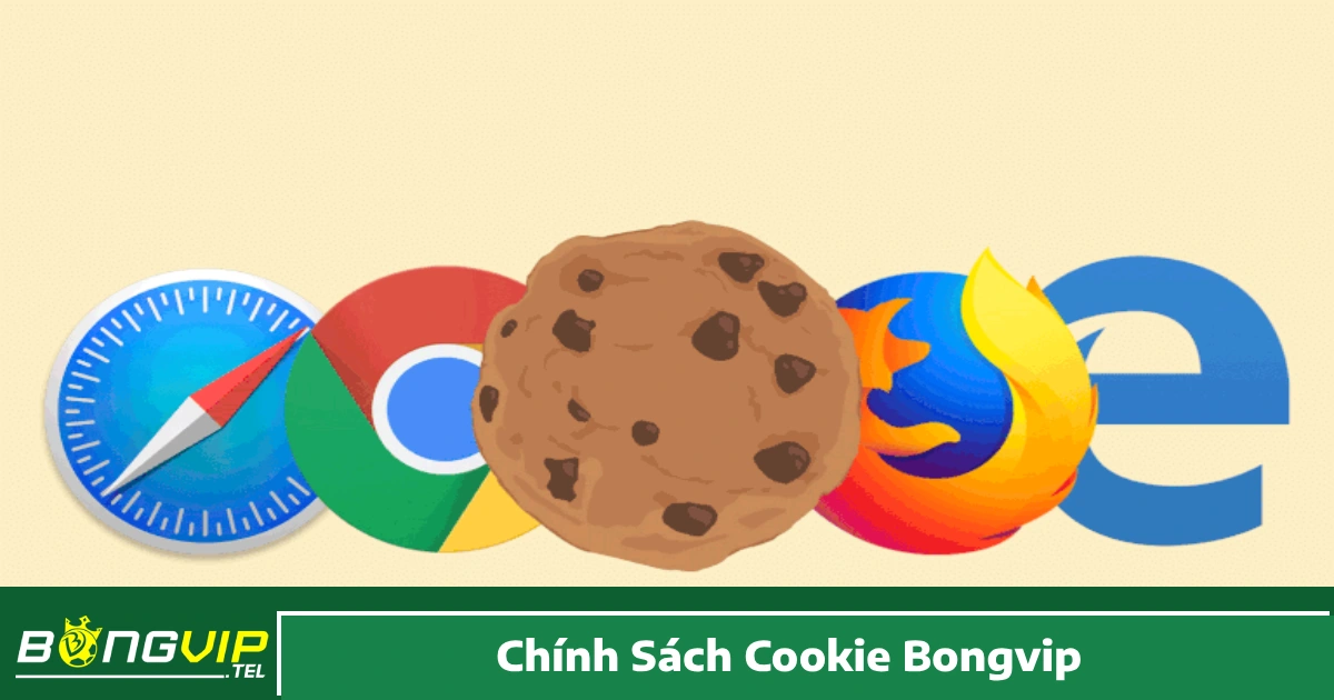 Chính Sách Cookie Bongvip – Cách Hệ Thống Quản Lý Cookie 2 Các loại cookie mà hệ thống Bongvip thu thập