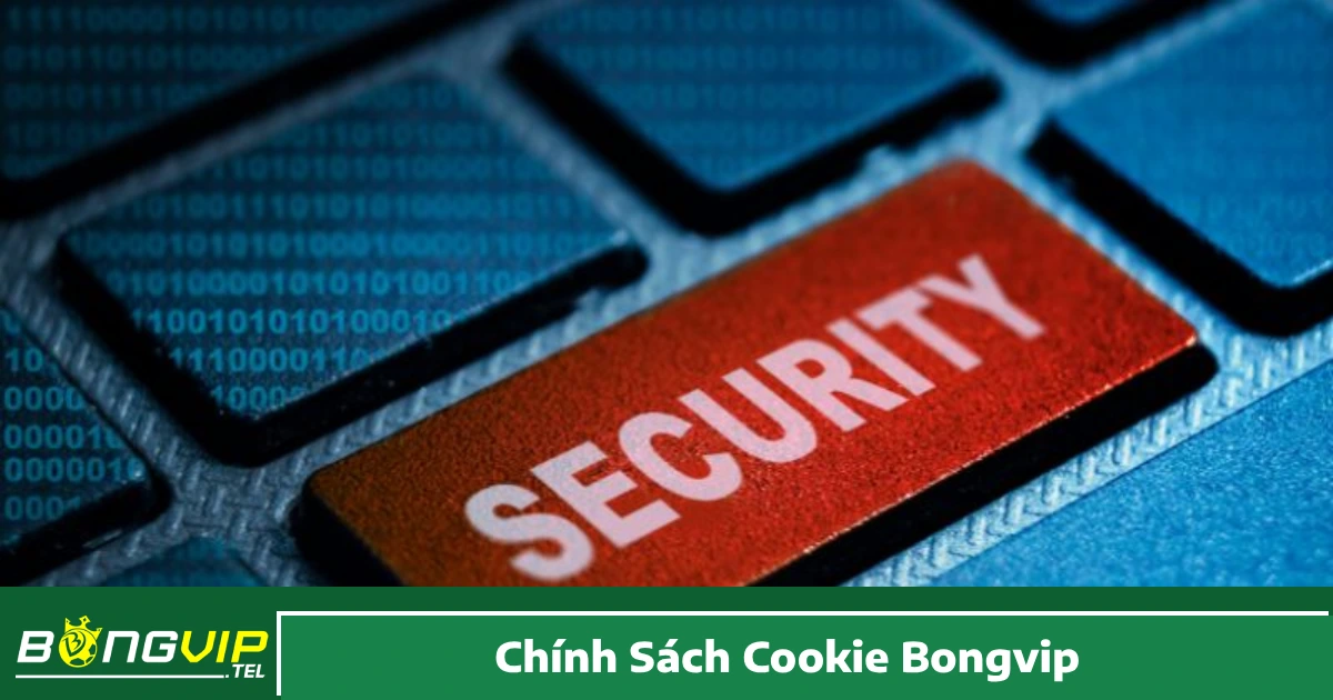 Chính Sách Cookie Bongvip – Cách Hệ Thống Quản Lý Cookie 3 Cách Kiểm Soát & Tắt Cookie Khi Dùng Bongvip