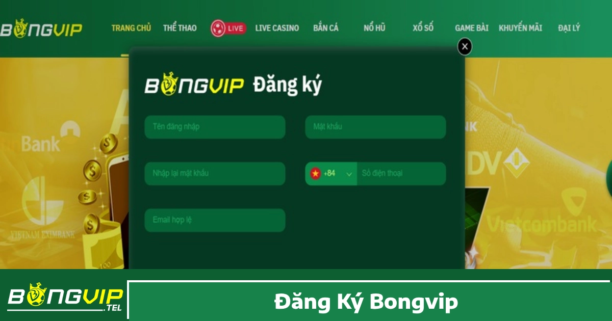 Những Lưu Ý Quan Trọng Khi Đăng Ký Bongvip