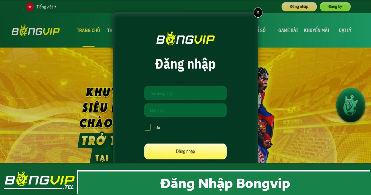 Cách Khắc Phục Khi Không Đăng Nhập Được