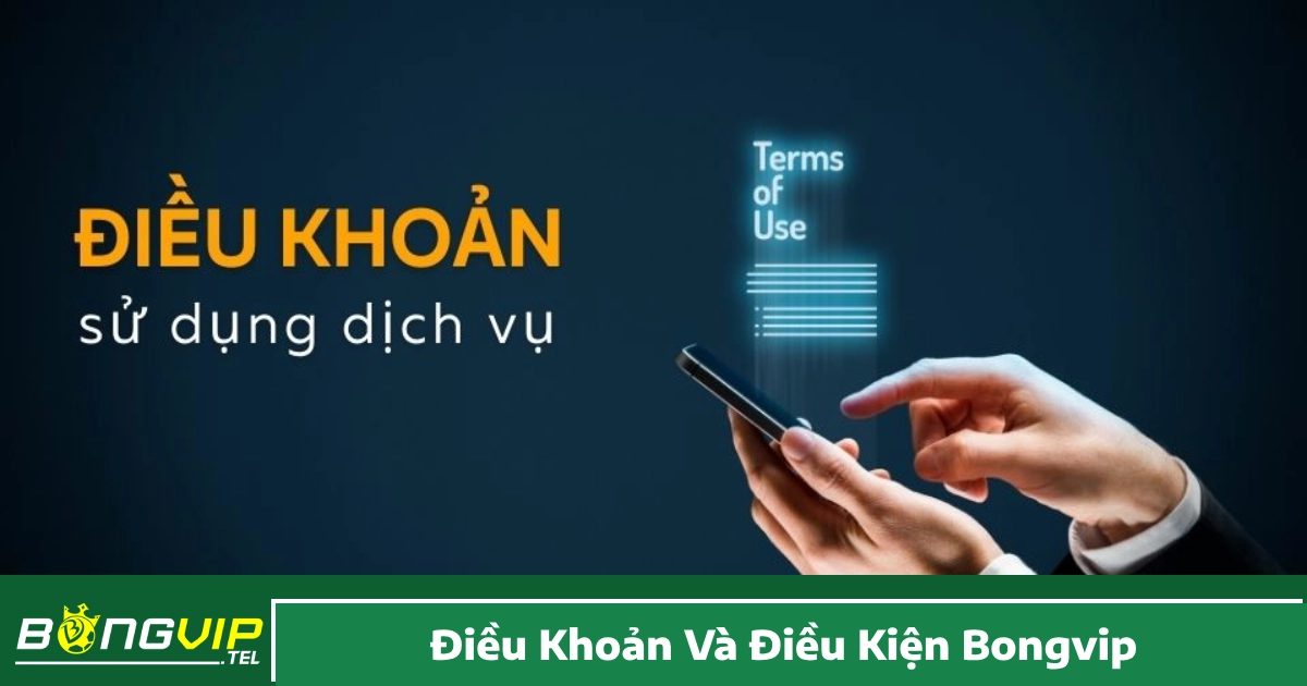 Điều Khoản Và Điều Kiện Bongvip – Quy Định Hội Viên Cần Nắm 1 Các Điều Khoản Và Điều Kiện Bongvip Khi Đăng Ký & Sử Dụng Dịch Vụ