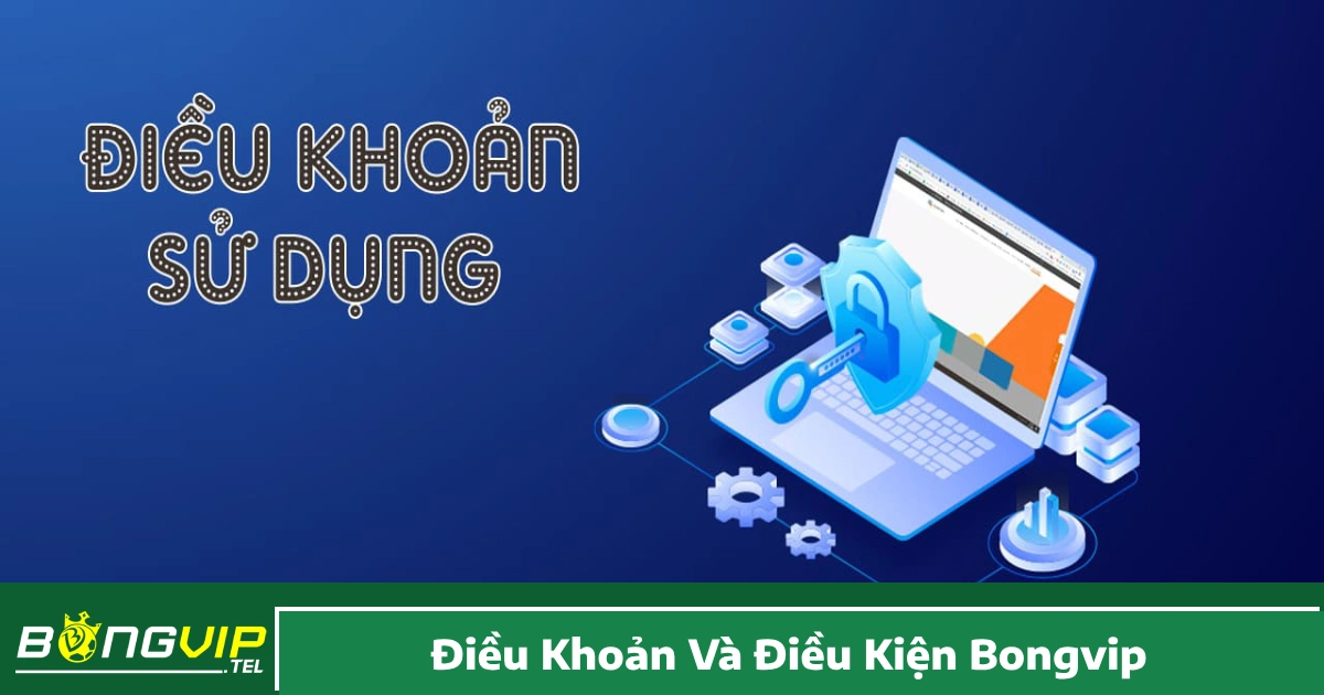 Điều Khoản Và Điều Kiện Bongvip – Quy Định Hội Viên Cần Nắm 2 Trách nhiệm của thành viên khi tham gia hệ thống