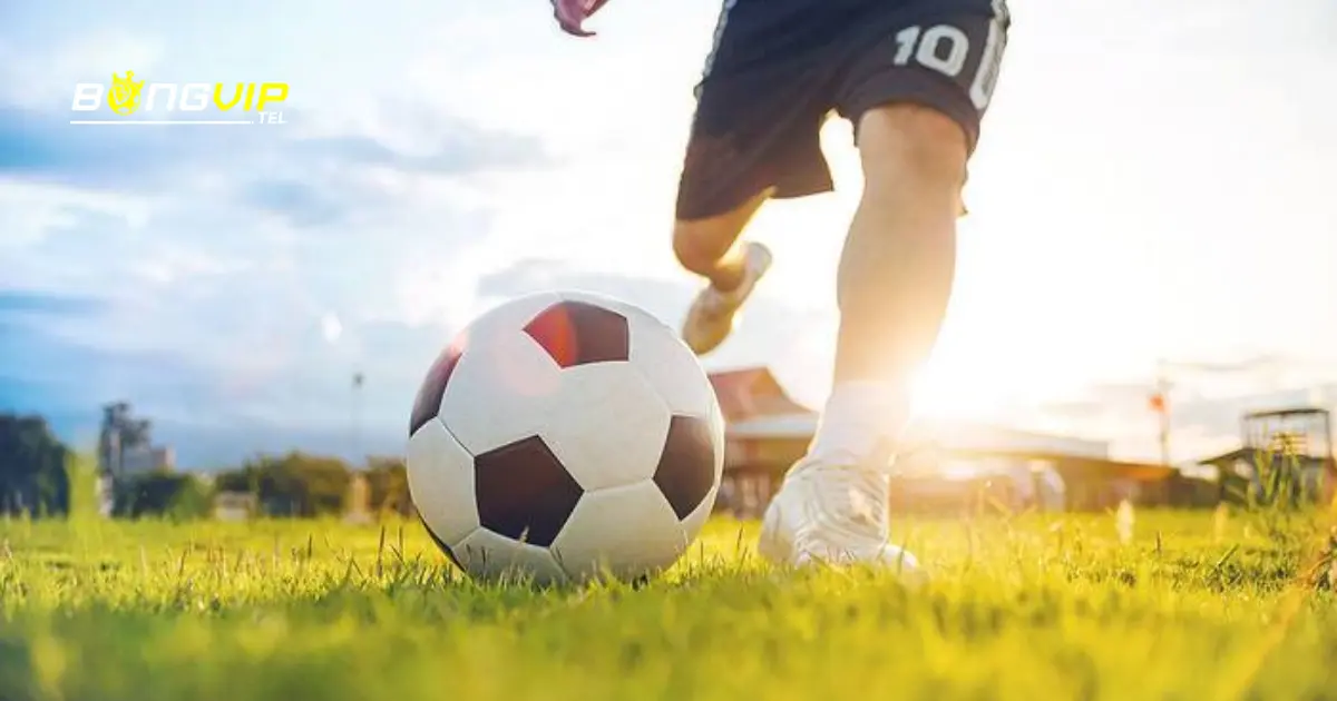 Cách đặt cược kèo lẻ / chẵn