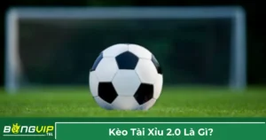 Giải thích về kèo Tài Xỉu 2.0