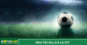 Kèo 2.5 là gì và cách tính tiền?