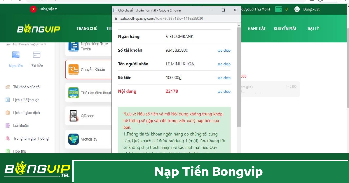 Các Phương Thức Nạp Tiền Bongvip Được Hỗ Trợ