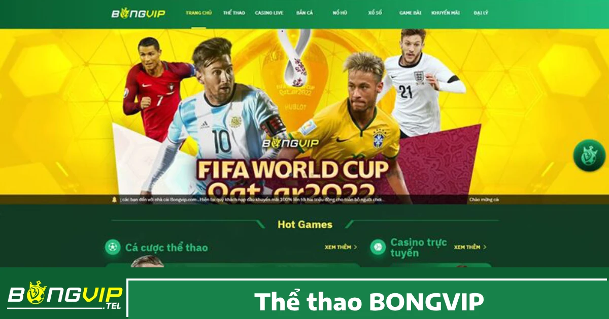 THỂ THAO 2 Vì sao nên chọn Thể thao Bongvip?