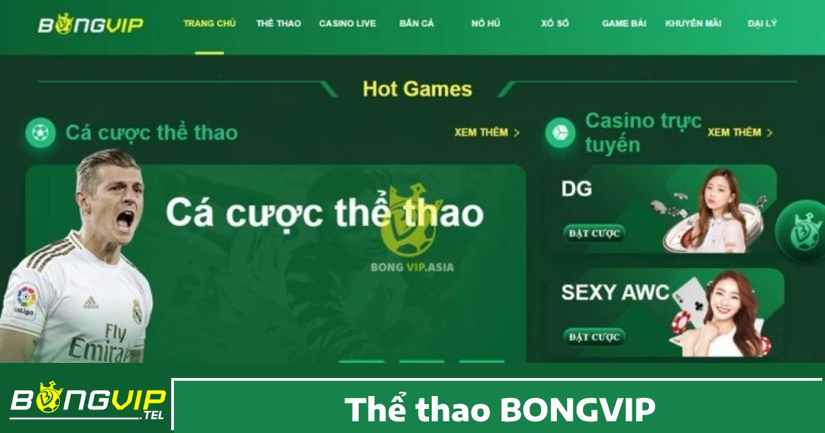 THỂ THAO 5 Hướng dẫn cá cược thể thao Bongvip